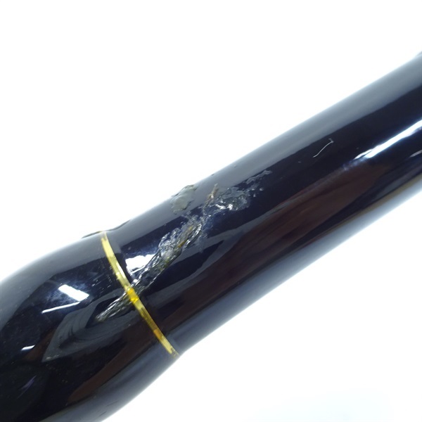 １０アオリスタＢＢＨ－５００